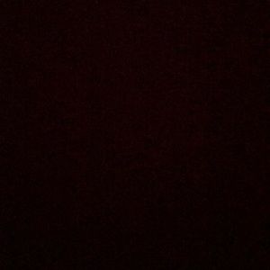 Meet your Posher, Lily